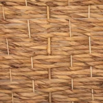 79ab0be5-9cb3-4538-9349-291775f3911e