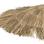 b2695ac2-fb6d-4bae-97a2-93bfa6c8c4d9